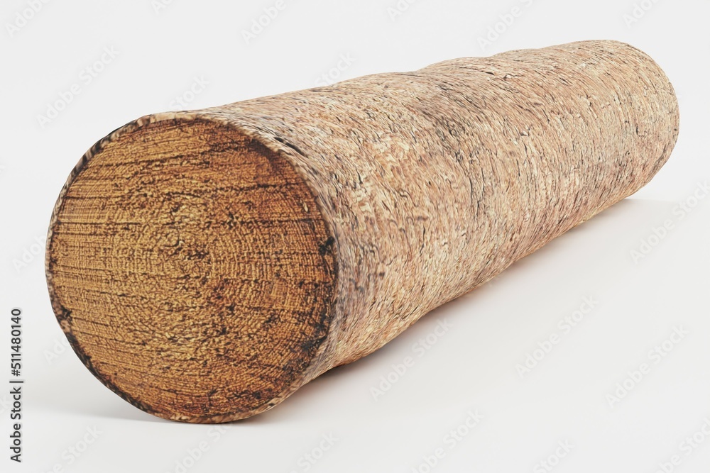Realistic 3D Render of Tree Log Realistic 3D Render of Tree Log