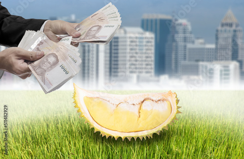 Businessman offer money for Durian tropical fruit for city