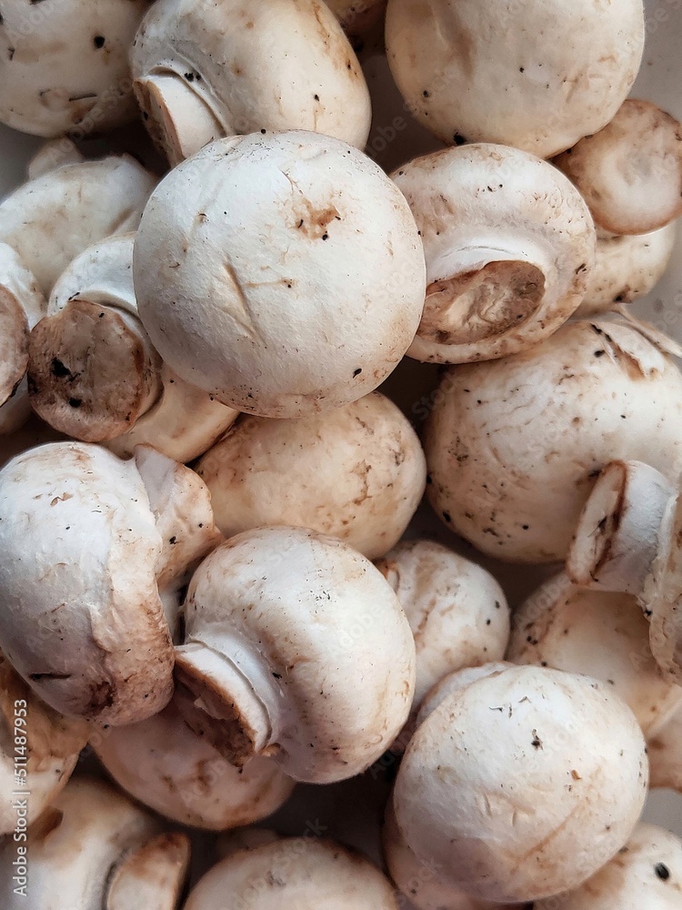 Champignons background. Mushrooms pattern. Vegetables that replace meat. Champignons background. Mushrooms pattern. Vegetables that replace meat.