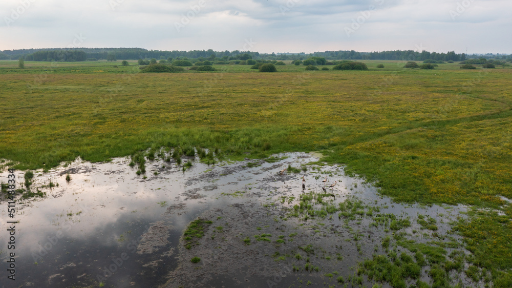 Flooded meadows cloudy sky