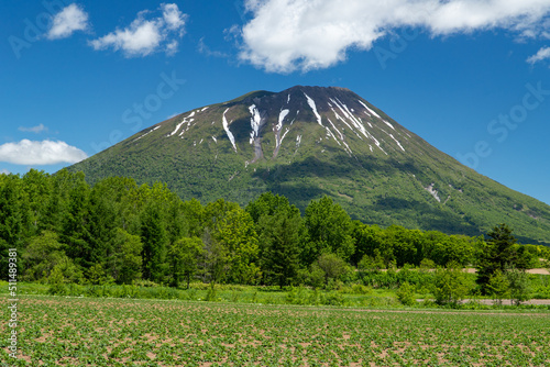 北海道　初夏の羊蹄山の風景 © 英敏 松本