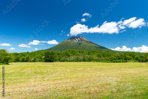 北海道　初夏の羊蹄山の風景