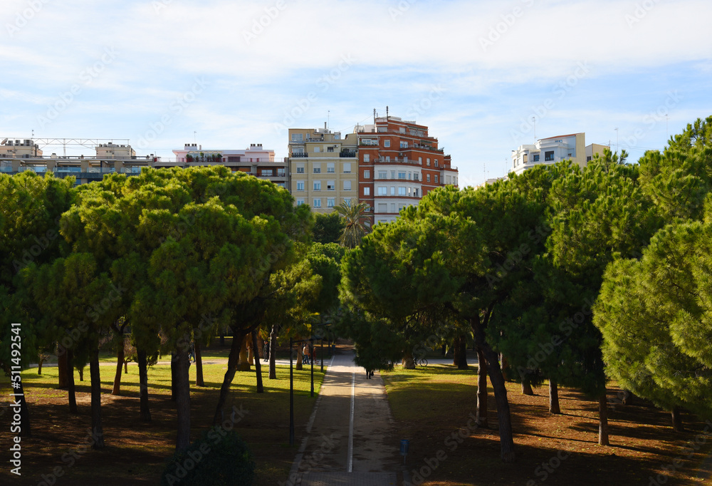 Walking path in City park with green trees. Valencia Central Park with gardens and green trees. Green grass lawn, palm trees and walking paths and Footpath at the beginning of the day in park..