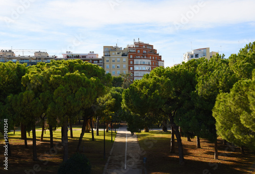 Walking path in City park with green trees. Valencia Central Park with gardens and green trees. Green grass lawn  palm trees and walking paths and Footpath at the beginning of the day in park..