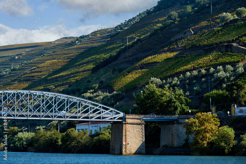 Pinhao bridge and terraced vineyards in Douro Valley Alto Douro in Pinhao, Portugal Pinhao bridge and terraced vineyards in Douro Valley Alto Douro in Pinhao, Portugal