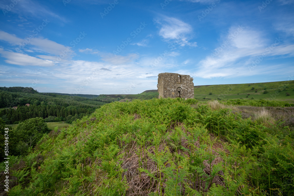 Skelton Tower in the North Yorkshire Moors National Park, England