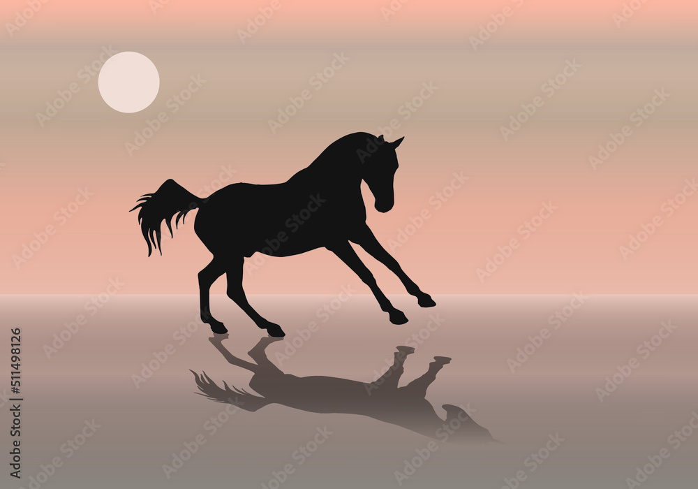 isolated silhouette of a horse galloping along the seashore against the sky isolated silhouette of a horse galloping along the seashore against the sky