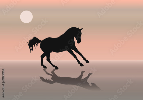 isolated silhouette of a horse galloping along the seashore against the sky