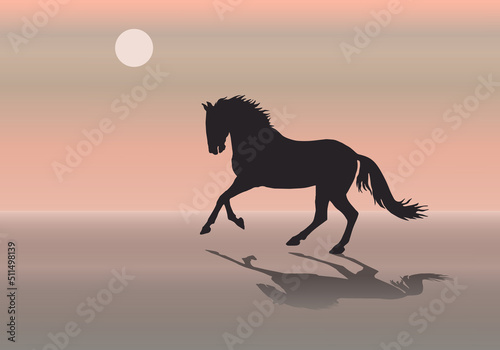 isolated silhouette of a horse galloping along the seashore against the sky