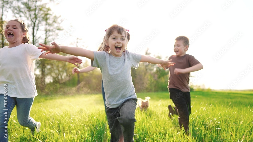 group of children running in the park. happy family baby kid dream concept. kindergarten. children hands to the sides play pilots plane run on the grass in the summer in the park sun group of children running in the park. happy family baby kid dream concept. kindergarten. children hands to the sides play pilots plane run on the grass in the summer in the park sun