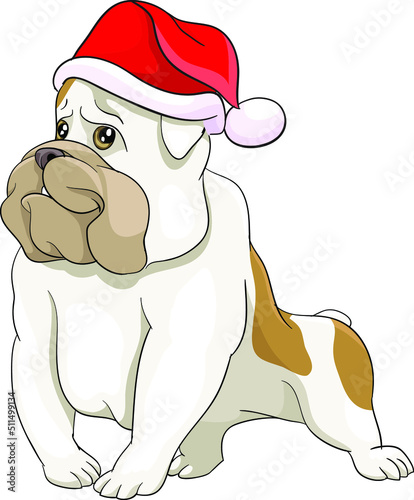 standing smiling dog in santa hat waiting for gifts, holidays, hope, joy, waiting