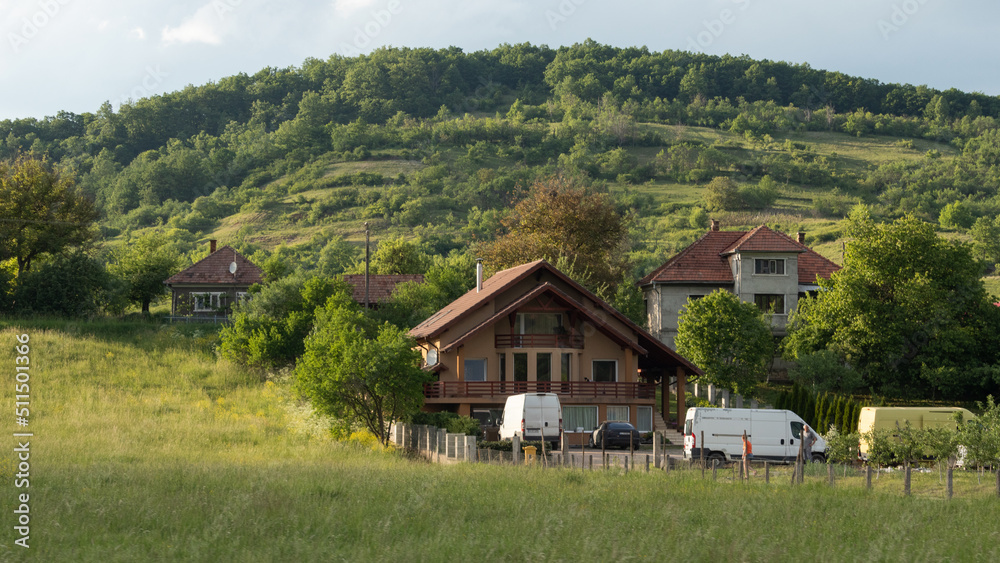 Transylavnian village life evolved around trees and animals