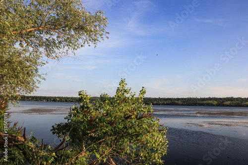 Landscape of the Dnieper River, Zaporozhye region. Ukraine. Summer view of the river in green trees, wildlife, nature reserve, clear blue sky