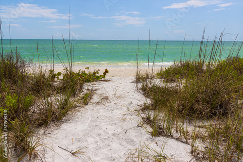 Wallpaper Mural Trail Leading Through White Sand To The Turquoise Water of Tigertail Beach, Marco Island, Florida, USA Torontodigital.ca