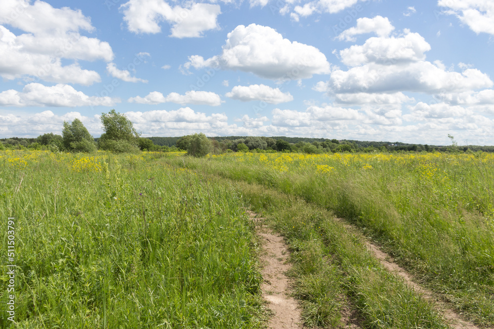 Summer rural landscape. Green and yellow meadow with tall grass, blue sky with white clouds. Sunny day. Summer rural landscape. Green and yellow meadow with tall grass, blue sky with white clouds. Sunny day.