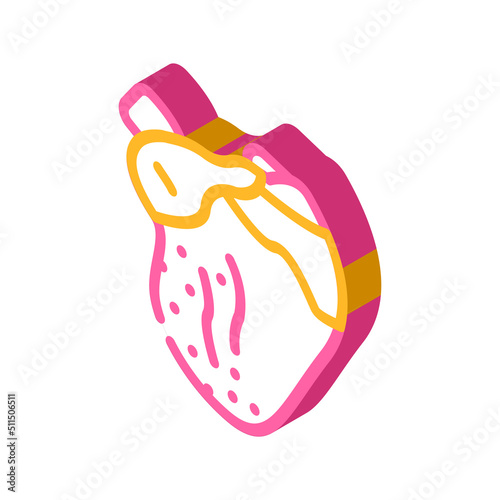 broiler chicken heart isometric icon vector. broiler chicken heart sign. isolated symbol illustration