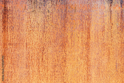 Metal rusty texture. Metal fence background. © serjiob74