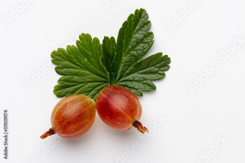 Ripe red gooseberry berry with gooseberry leaf isolated on white background.