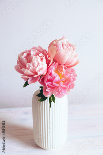 Beautiful bunch of fresh Coral Charm peonies in full bloom in vase against white background. Minimalist floral still life with blooming flowers.