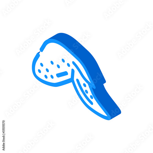 wing with two phalanges isometric icon vector. wing with two phalanges sign. isolated symbol illustration