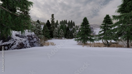 winter in the mountains