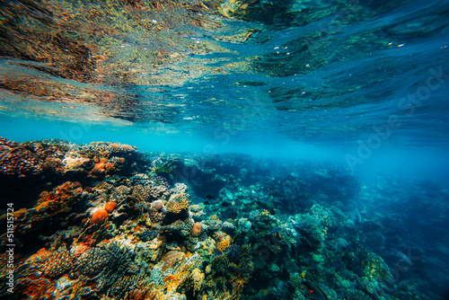 Panorama Underwater coral reef on the red sea © vovan