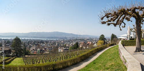 Zurich, Switzerland - March 26th 2022: View from Sonnenberg over vineyards towards the city.