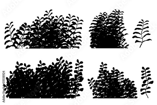 bush silhouette, tropical bush, bush silhouette element
