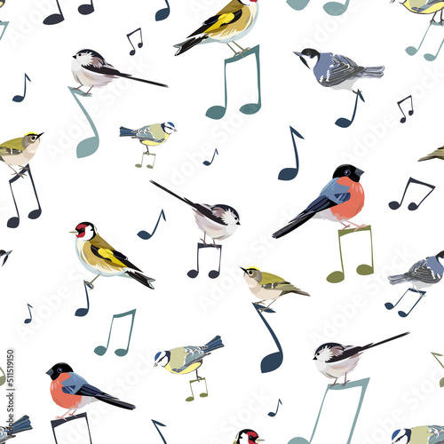 A flat colour seamless pattern of hedgerow and garden birds including tits and finches native to the British countryside. Perched on music notes in a fun mix of ornithology and music. Birdsong visual.
