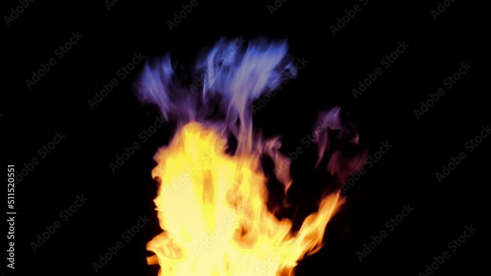 Fantasy Colors Fire Burns On Black Fantasy Colors Fire Burns On Black