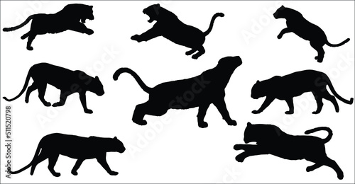 set of silhouette wild black panther