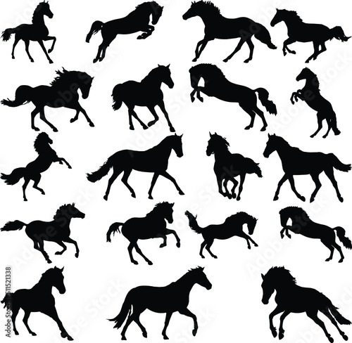 The set of the silhouette horse collection