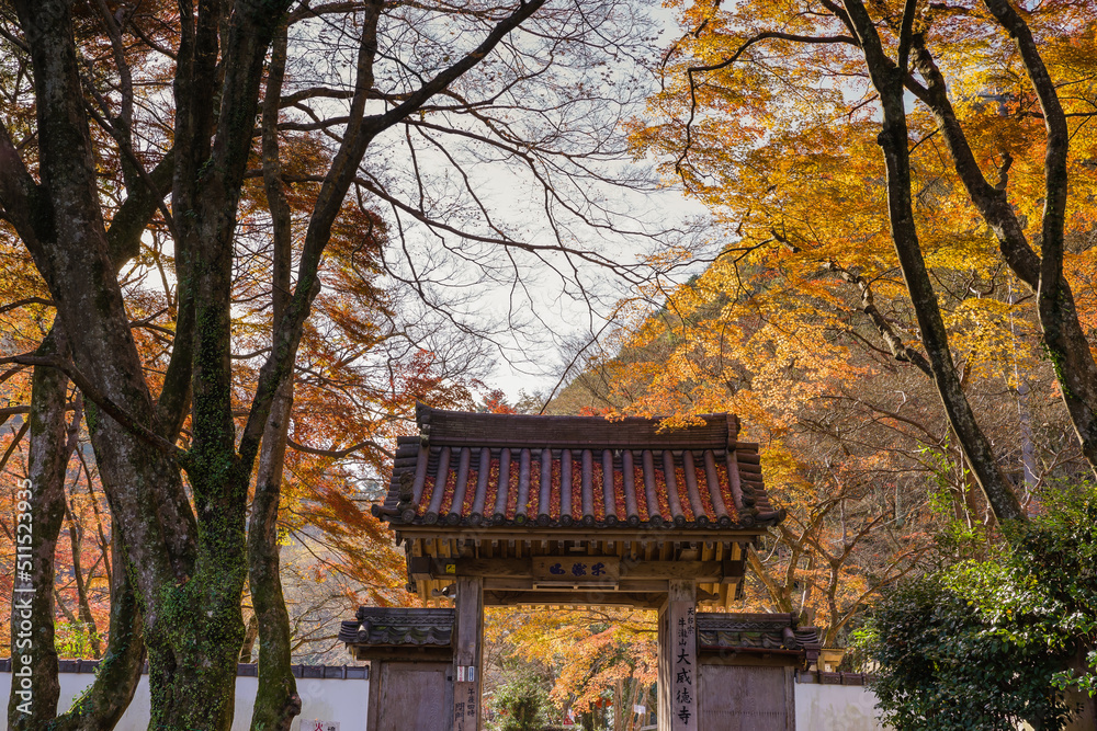 大威徳寺（大阪府岸和田市）の紅葉