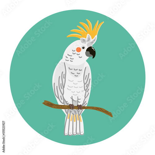 Cockatoo on a branch flat vector cartoon illustration