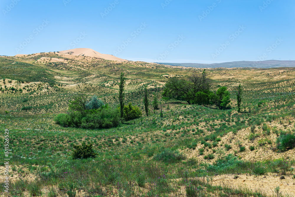 semi-desert spring landscape in the vicinity of the Sarykum sand dune