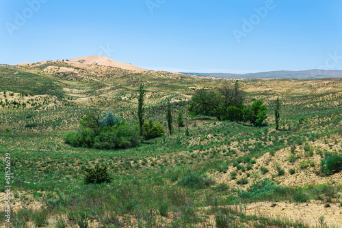 semi-desert spring landscape in the vicinity of the Sarykum sand dune