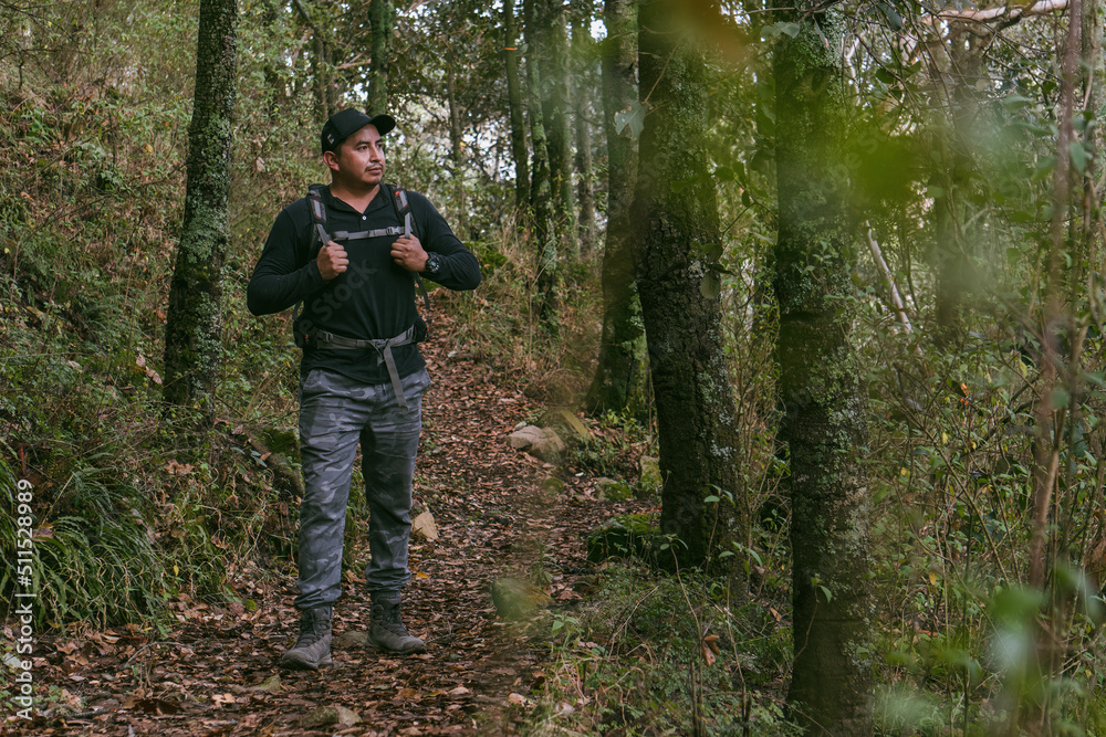 man walking through a forest wearing a backpack