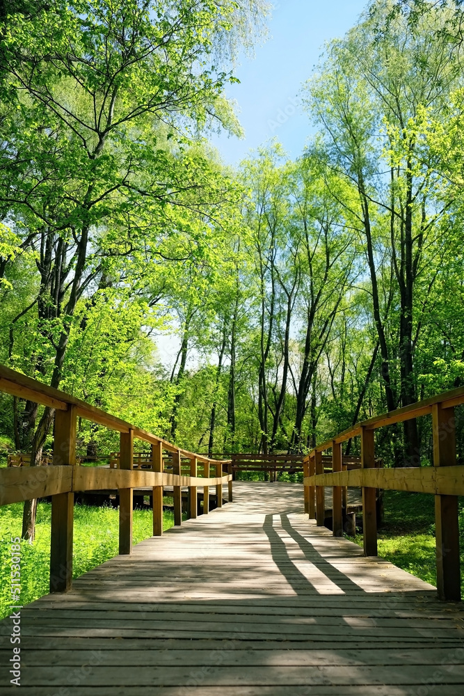 wooden pathway in forest Park. beautiful green natural landscape with ecological path. spring summer season. ecology, environmental conservation, ecotourism, relax, recreation concept