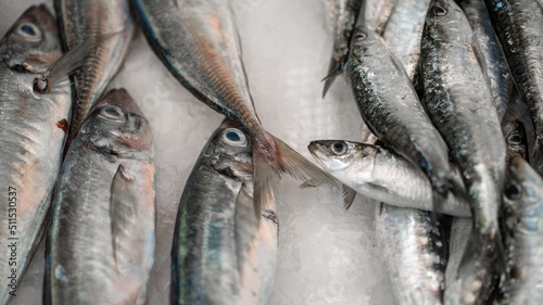 peixe mercado photo