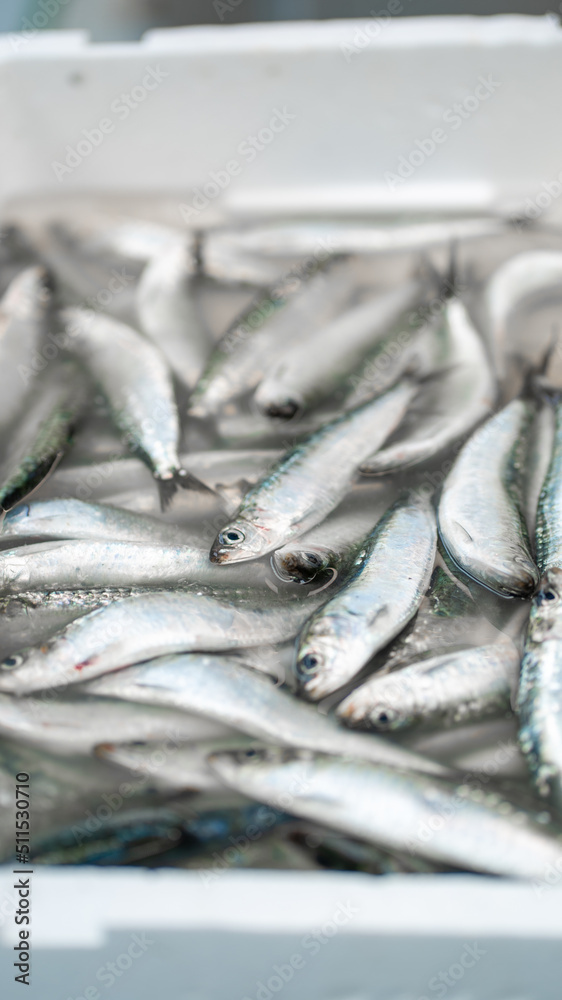 Obraz premium peixe mercado
