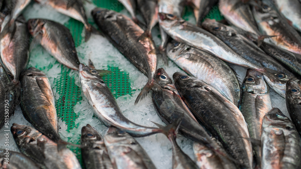 peixe mercado peixe mercado