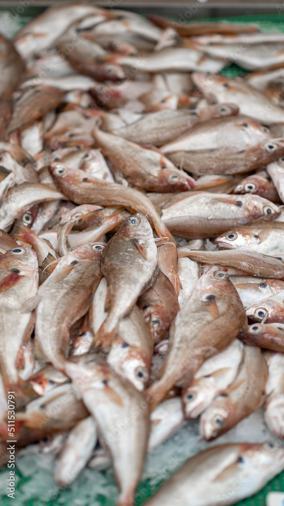 peixe mercado peixe mercado