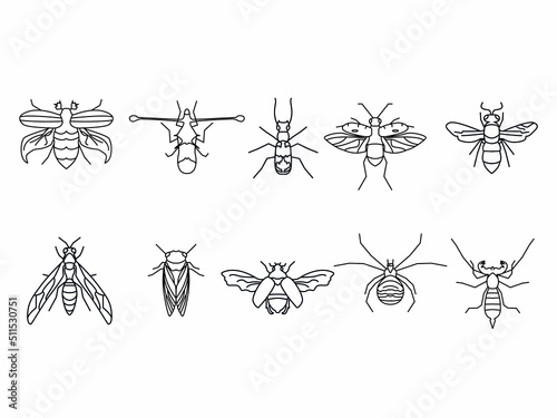 insect line art icon collection 