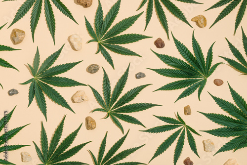 Creative pattern made with sunlit green marijuana, cannabis leaves and sea pebbles, stones on a pastel sand color background. Minimal CBD OIL summer concept. Legal or illegal drug levels.