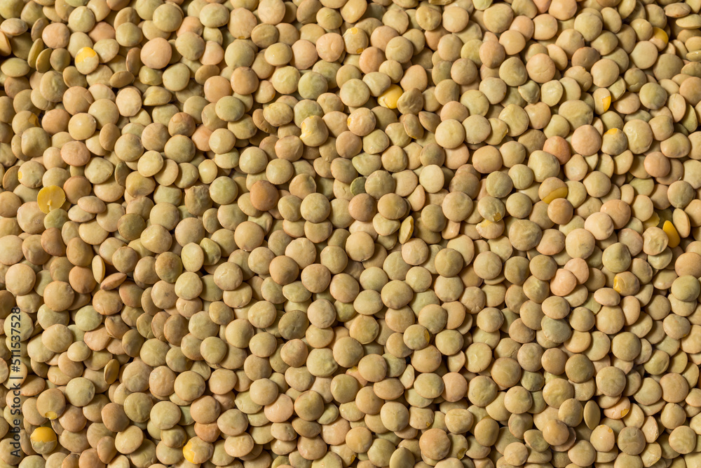 Raw Brown Organic Lentils Legumes Raw Brown Organic Lentils Legumes
