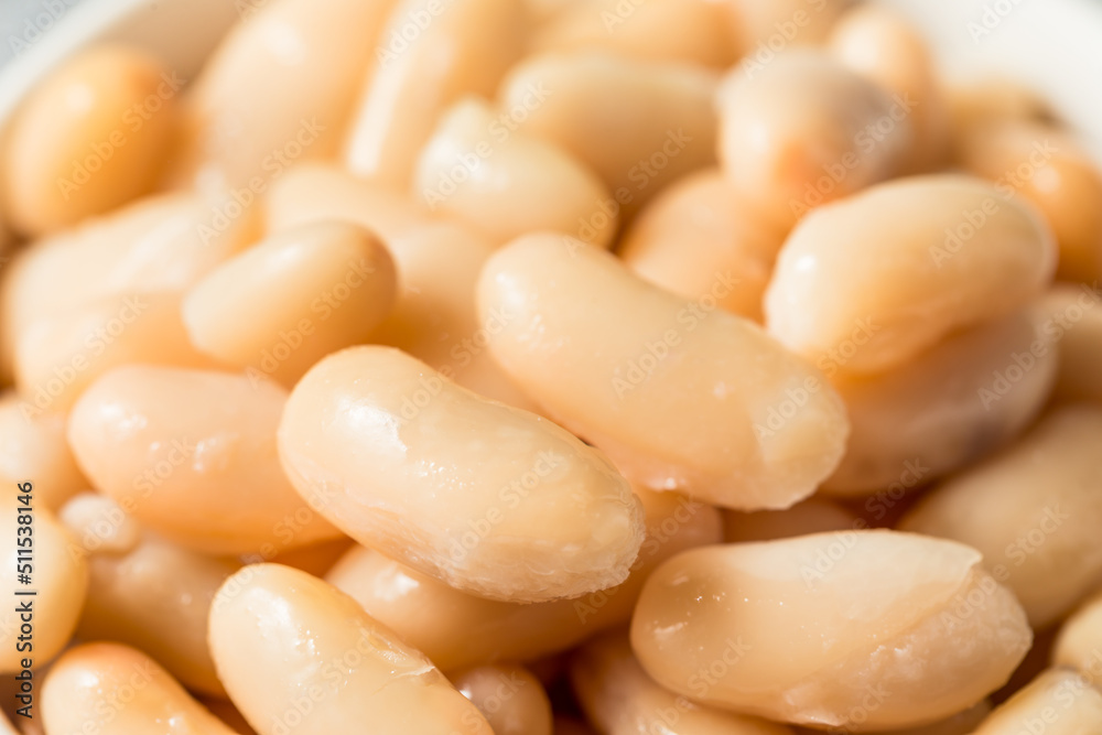 Raw Organic White Cannellini Beans