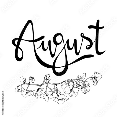 Letrero de letras escritas a mano y vectorizado "August". Recurso grafico sobre fondo blanco, agosto mes del año con flores de Begonias.