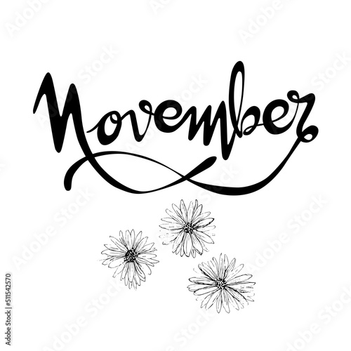 Letrero de letras escritas a mano y vectorizado "November". Recurso grafico sobre fondo blanco, Noviembre mes del año con flores de Aster.