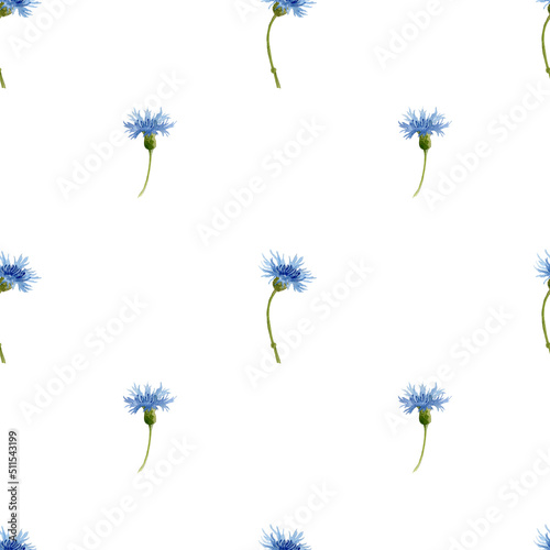 Seamless Cornflower Pattern with little Blue wild Flowers. Watercolor Print for textile or wrapping paper. Botanical ornament