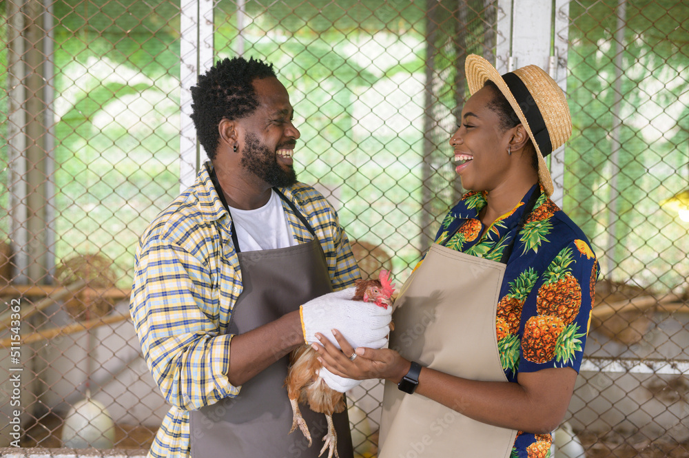 Happy black agronomist couple enjoying and working in farmland, agriculture concept